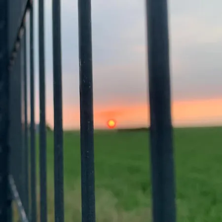 Alba * Aumenancourt-le-Petit